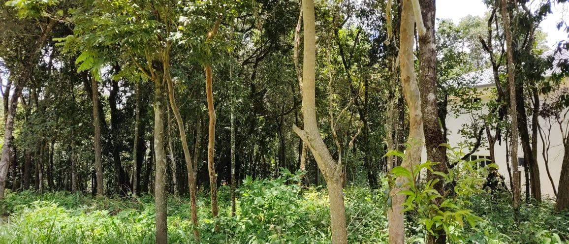 Terreno à venda com 1000m² de terreno no Acaiaca, Brumadinho (MG) — foto 2 de 12