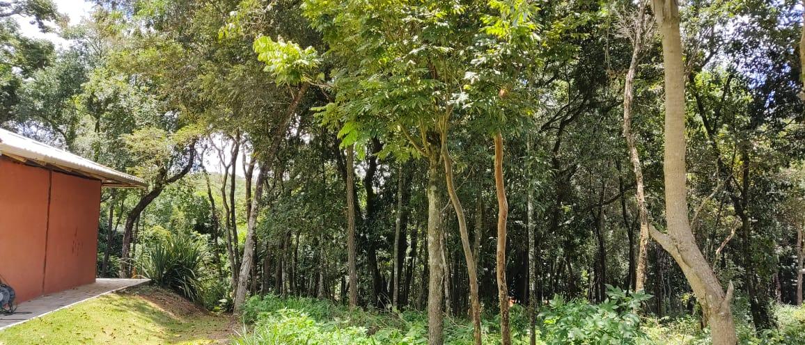 Terreno à venda com 1000m² de terreno no Acaiaca, Brumadinho (MG) — foto 4 de 12