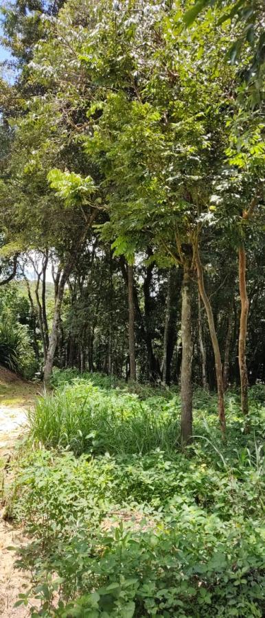 Terreno à venda com 1000m² de terreno no Acaiaca, Brumadinho (MG) — foto 3 de 12