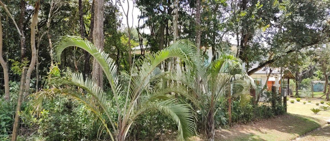 Terreno à venda com 1000m² de terreno no Acaiaca, Brumadinho (MG) — foto 9 de 12