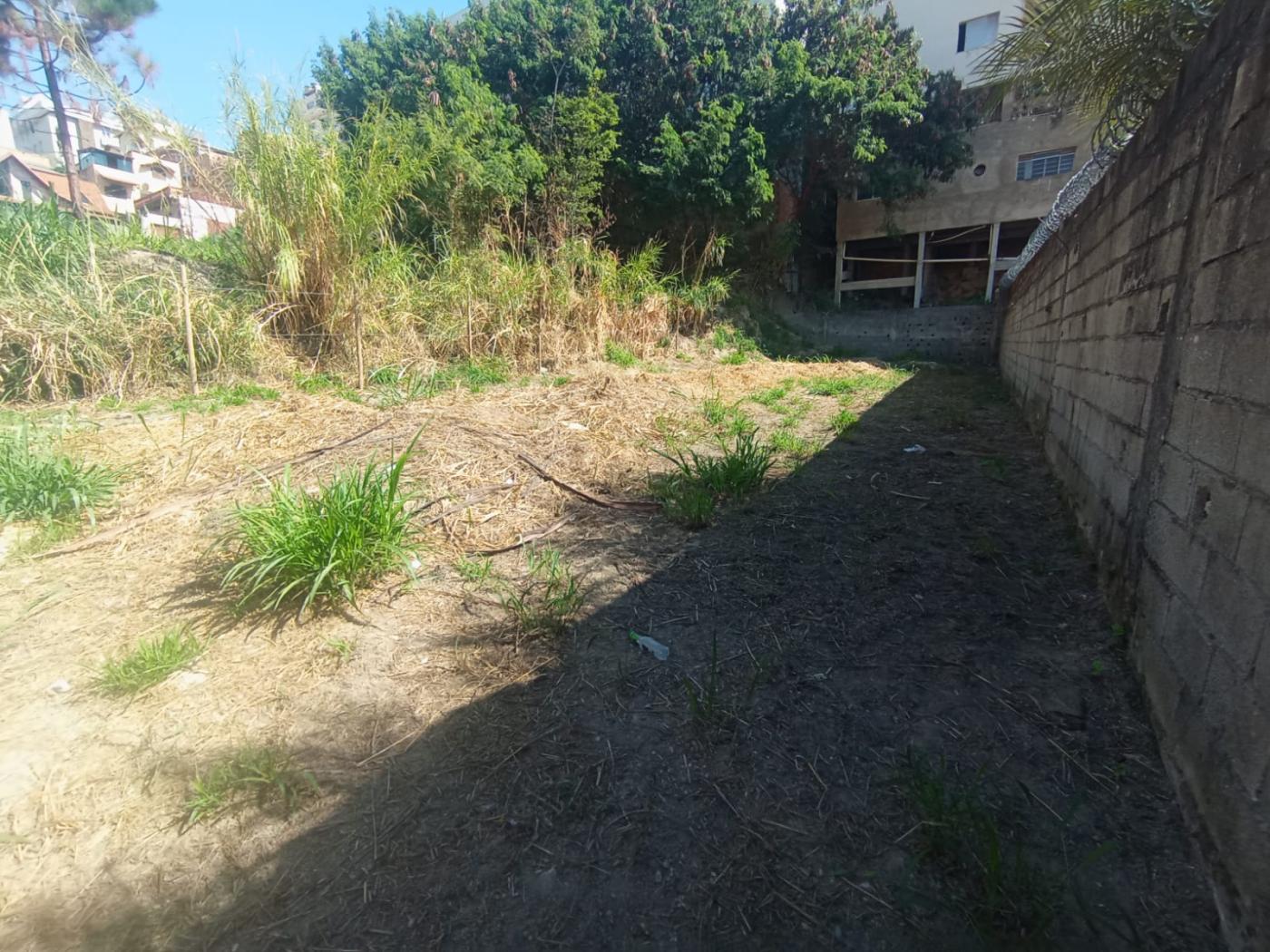 Terreno à venda no Alto Caiçaras, Belo Horizonte (MG) — foto 4 de 16