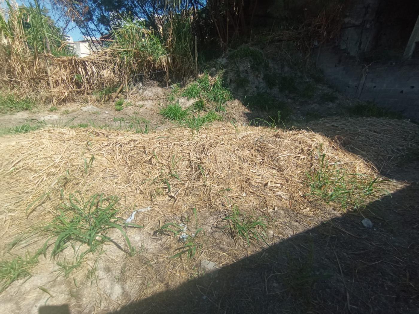 Terreno à venda no Alto Caiçaras, Belo Horizonte (MG) — foto 6 de 16