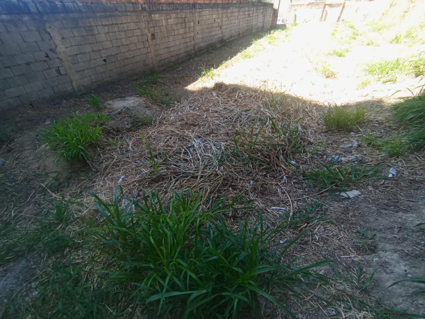 Terreno à venda no Alto Caiçaras, Belo Horizonte (MG) — foto 10 de 16
