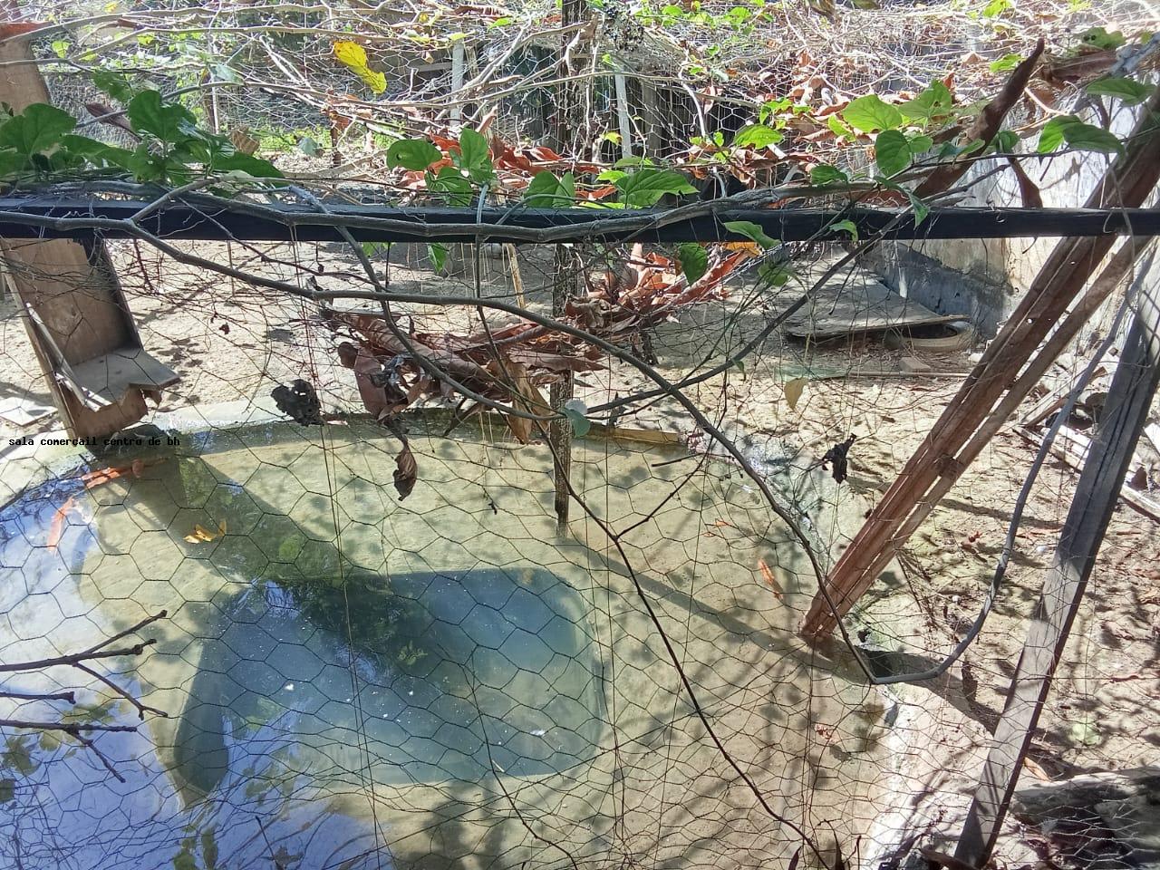 Rural à venda com 150m² de terreno no parque jardim encantado, Vespasiano (MG) — foto 11 de 30