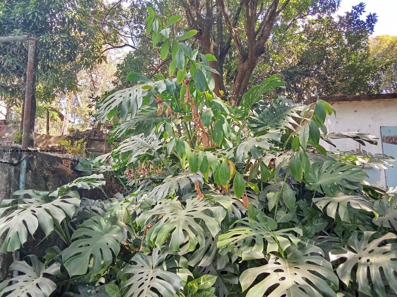 Rural à venda com 150m² de terreno no parque jardim encantado, Vespasiano (MG) — foto 23 de 30