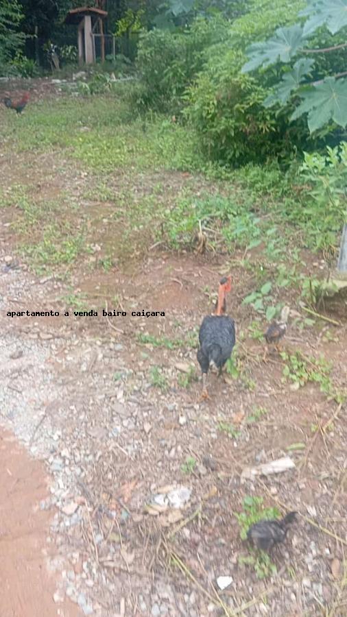 Terreno à venda com 7964m² de terreno no Nacional, Contagem (MG) — foto 10 de 30