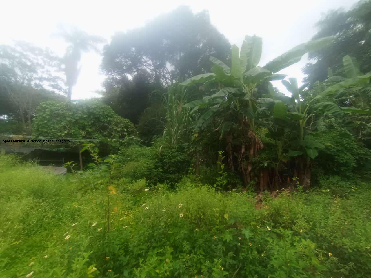 Terreno à venda com 7964m² de terreno no Nacional, Contagem (MG) — foto 24 de 30