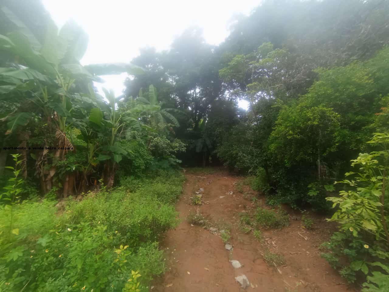 Terreno à venda com 7964m² de terreno no Nacional, Contagem (MG) — foto 25 de 30