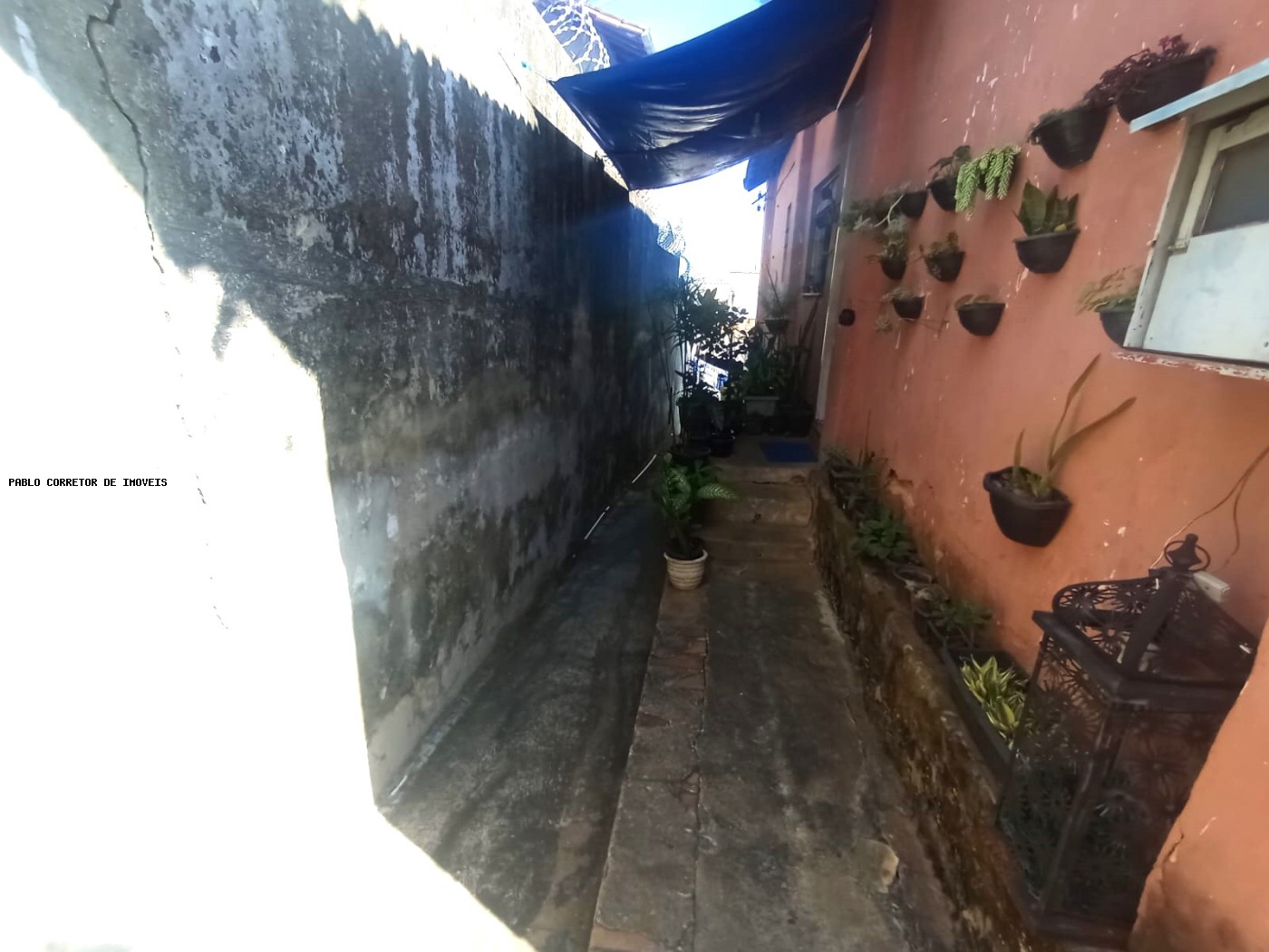 Casa à venda com 3 quartos, 1 banheiro, 6 vagas e 360m² no bom jesus, Belo Horizonte (MG) — foto 8 de 30