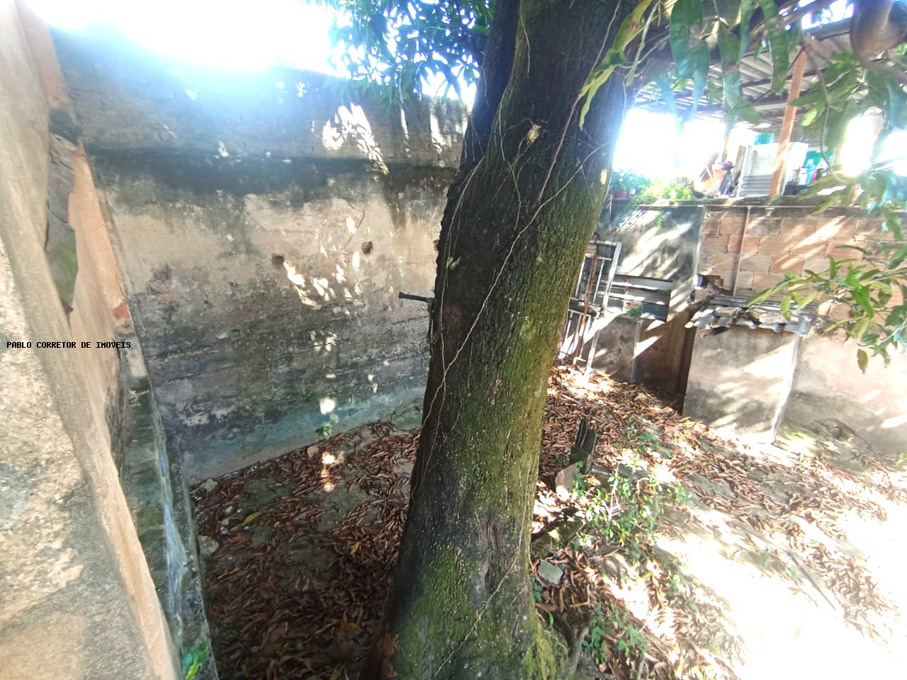 Casa à venda com 3 quartos, 1 banheiro e 300m² no Santo André, Belo Horizonte (MG) — foto 23 de 30