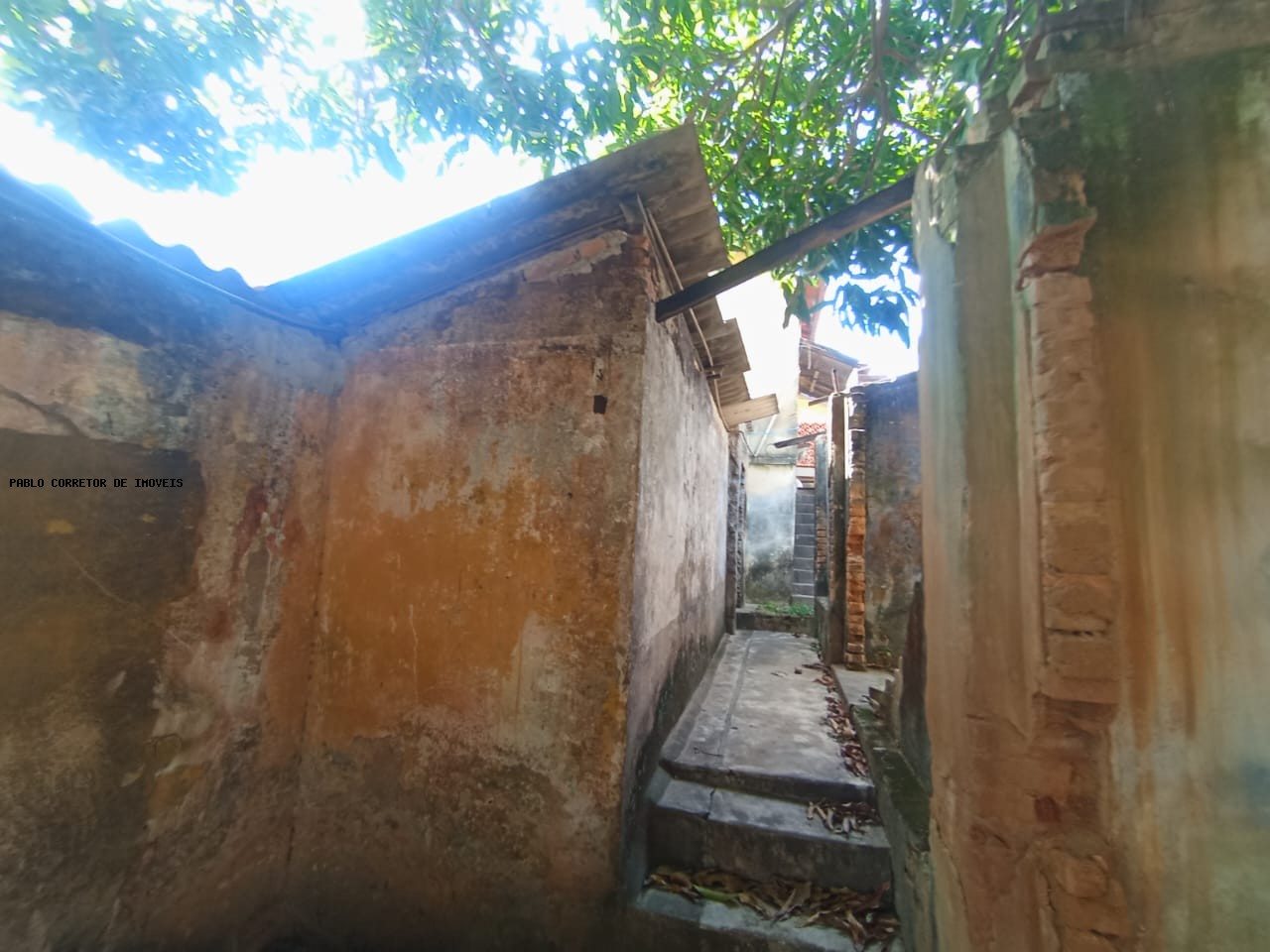 Casa à venda com 3 quartos, 1 banheiro e 300m² no Santo André, Belo Horizonte (MG) — foto 22 de 30