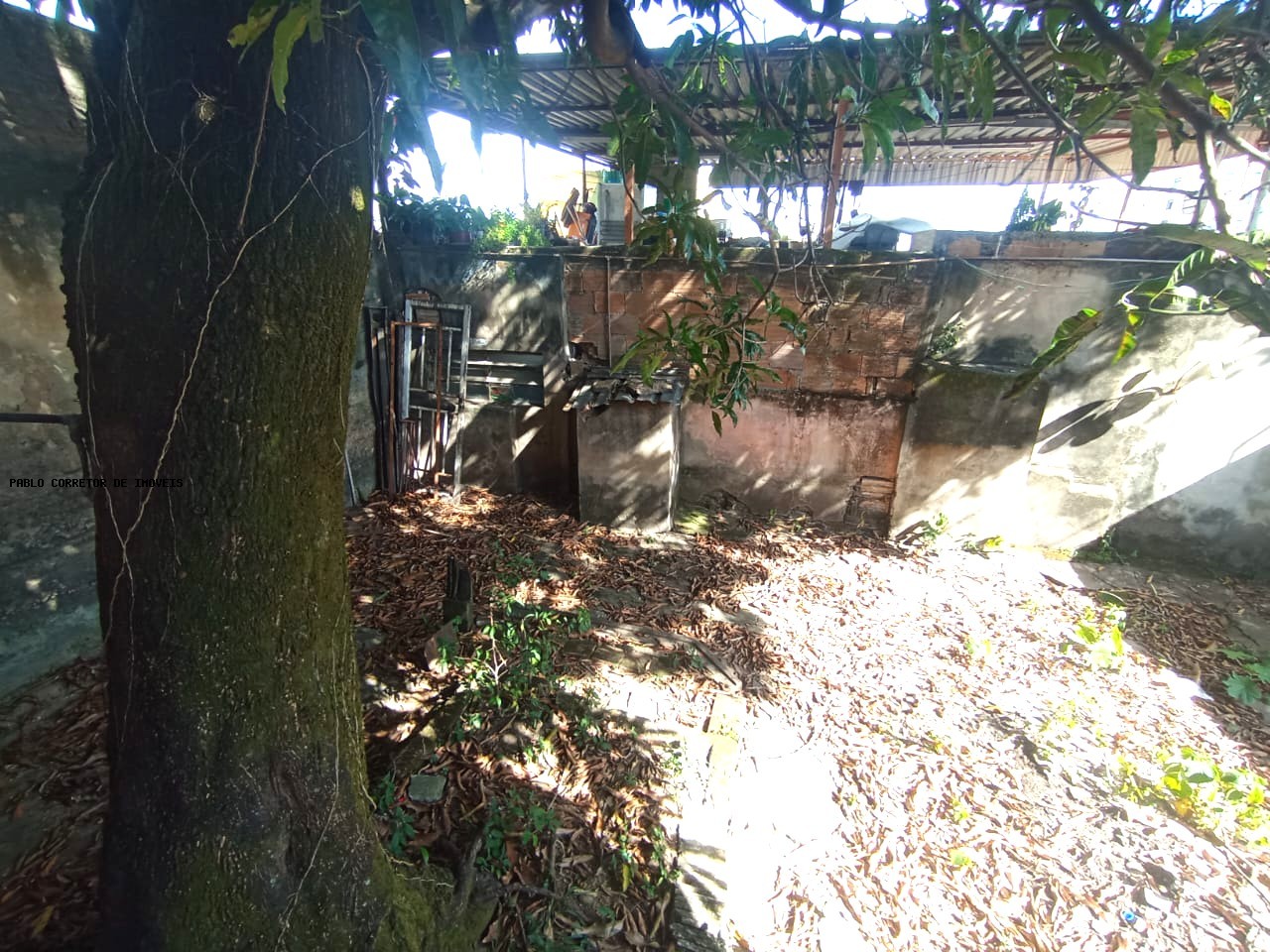 Casa à venda com 3 quartos, 1 banheiro e 300m² no Santo André, Belo Horizonte (MG) — foto 24 de 30