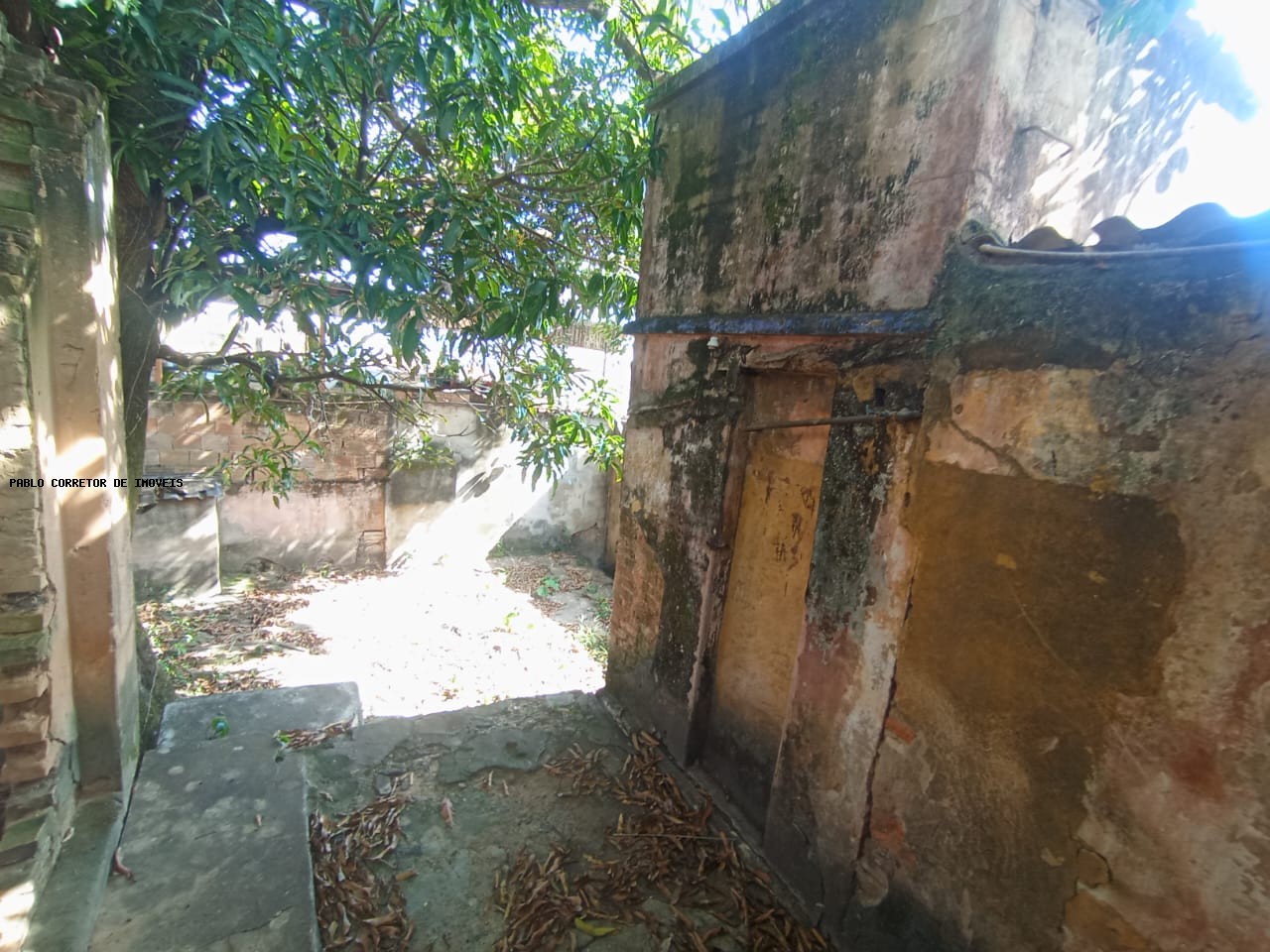 Casa à venda com 3 quartos, 1 banheiro e 300m² no Santo André, Belo Horizonte (MG) — foto 29 de 30