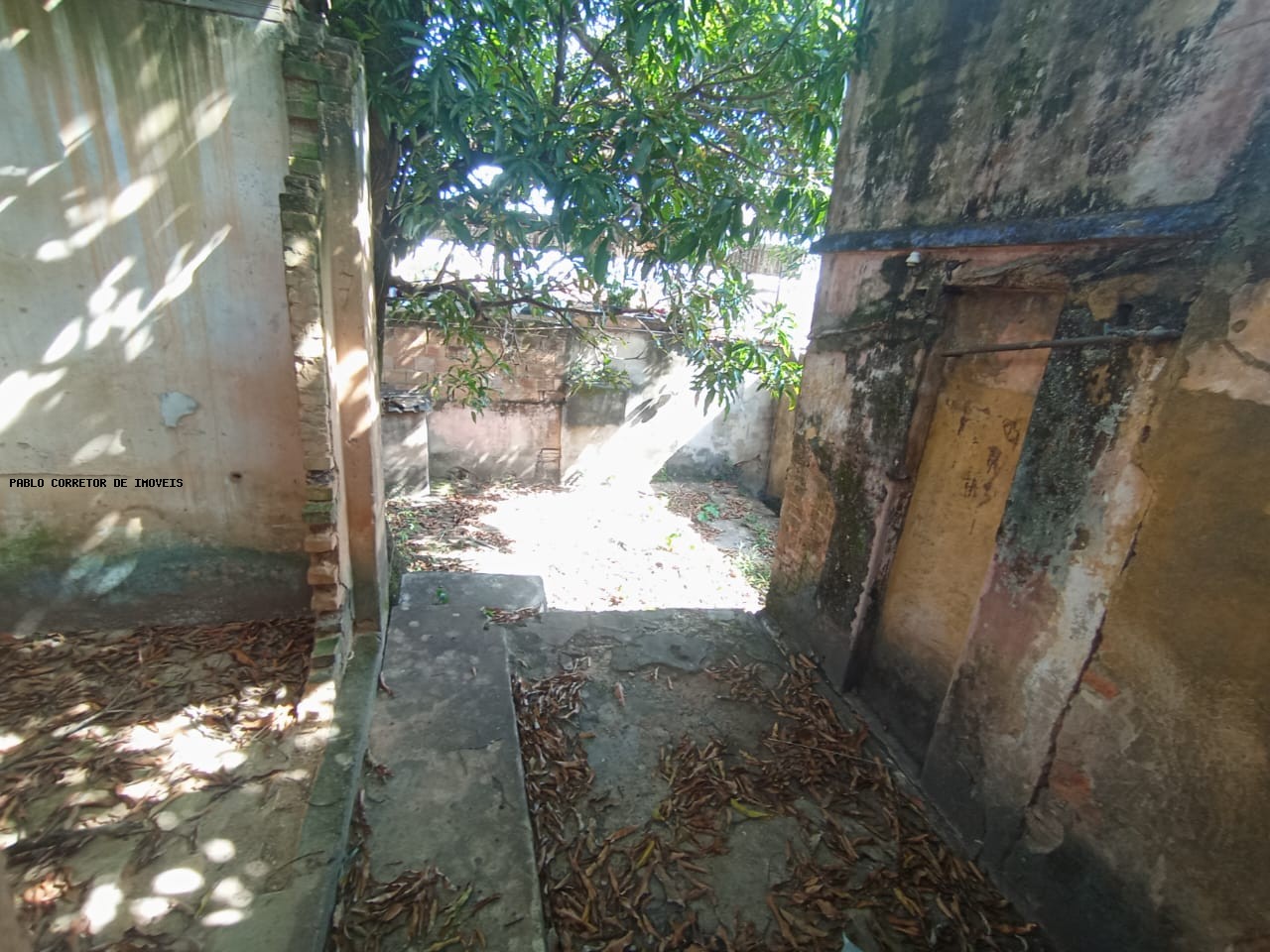 Casa à venda com 3 quartos, 1 banheiro e 300m² no Santo André, Belo Horizonte (MG) — foto 30 de 30